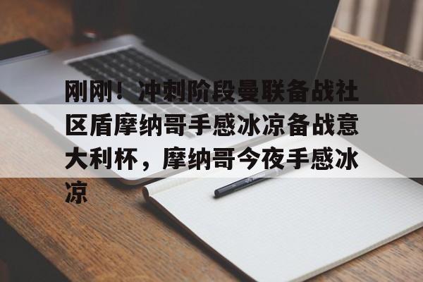 开云手机登录界面-摩纳哥对战热刺
